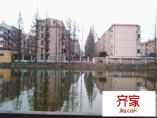 北濠橋新村外景圖 