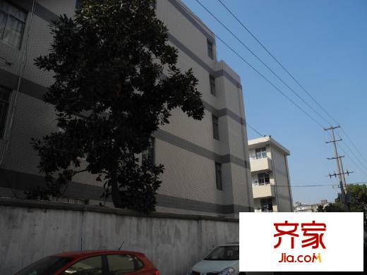 虹橋東村外景圖 