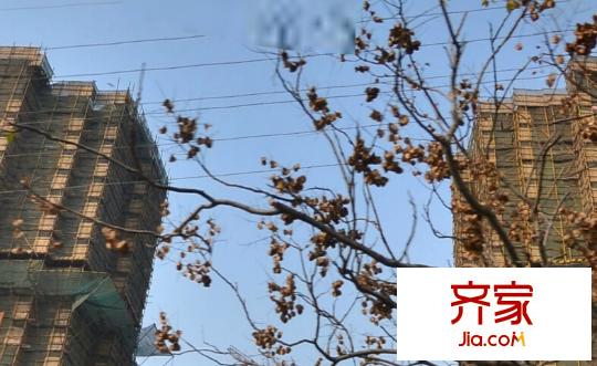 頤景苑外景圖 