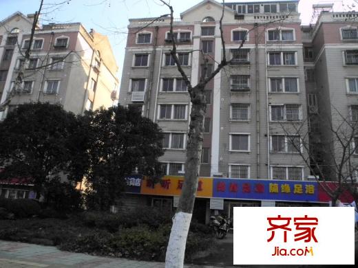 光明南村外景圖 