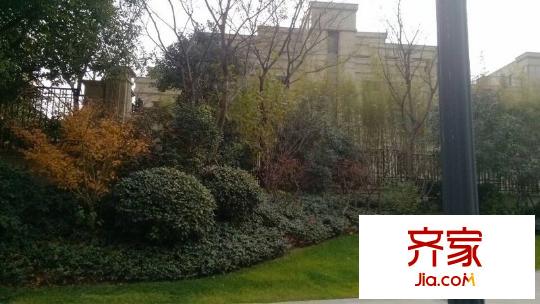 景瑞十八號(hào)