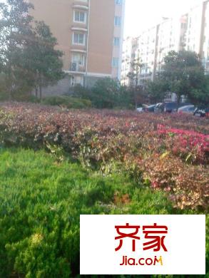 東平方米花園外景圖 