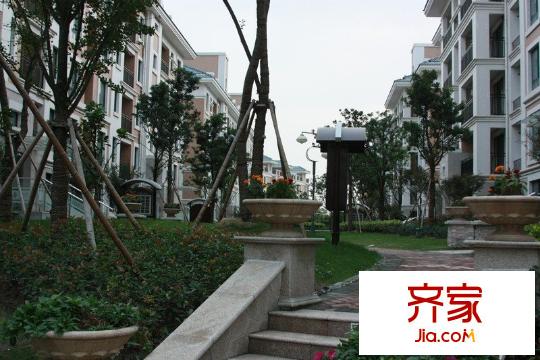 金水灣花園21號(hào)樓前綠化（2010.10.13）