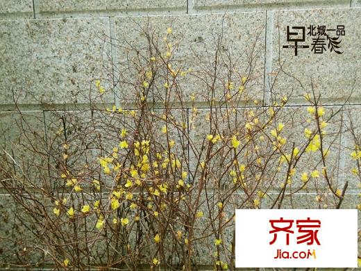 北城美墅項(xiàng)目（20140710）