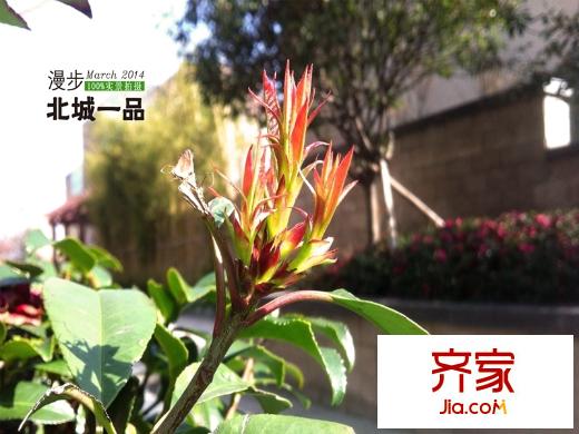 北城美墅項(xiàng)目（20140710）