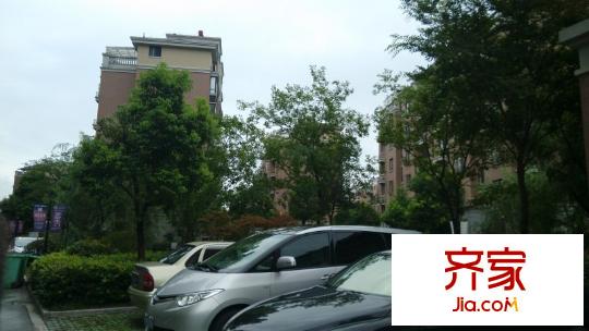中央廣場