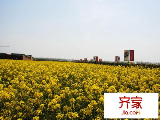 綠島江灣城小區(qū)（2013-03-05）