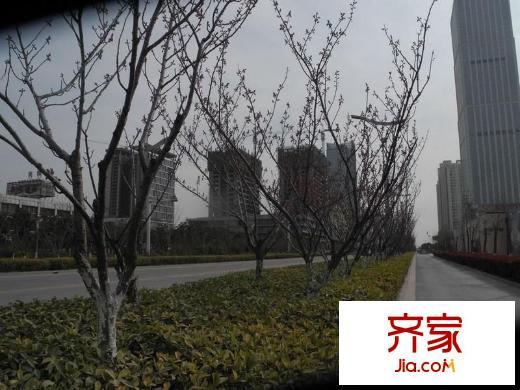 鳳凰文化廣場(chǎng)遠(yuǎn)景（20131127）