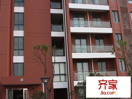 證大國際城