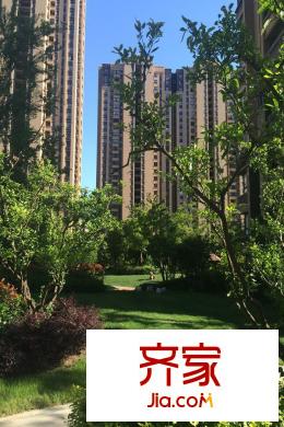 保利香檳國際區(qū)內(nèi)風(fēng)景