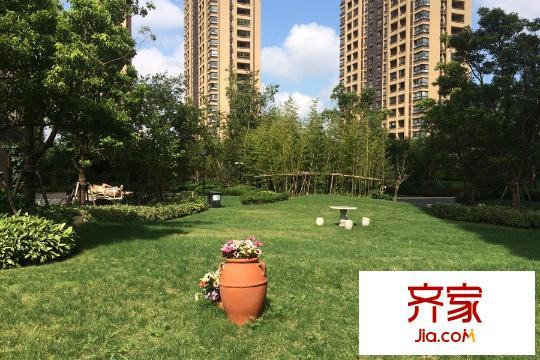 保利香檳國際區(qū)內(nèi)綠化實景圖（2015-09-08）