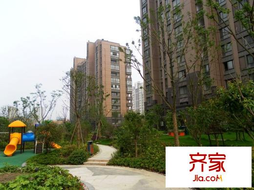 萬和華府小區(qū)景觀綠化（2013.5.20）