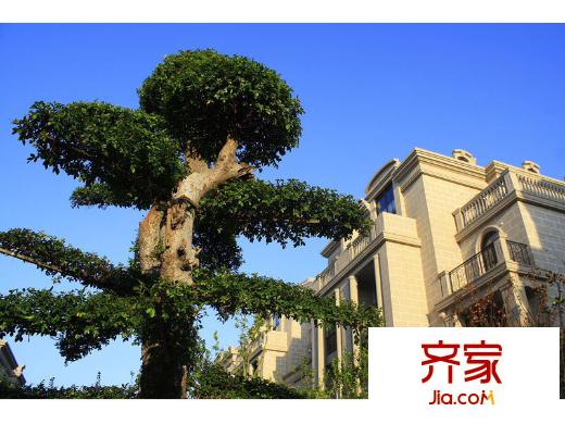 羅福宮小區(qū)實(shí)景（20130128）
