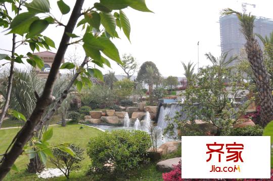 駿和棕櫚灣售樓處景觀綠化20130320