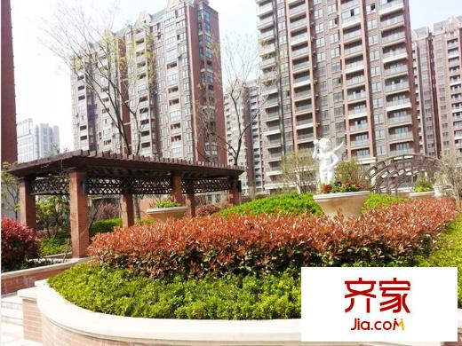大唐金城