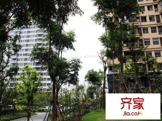 江城逸品小區(qū)實景（2014-08-26）