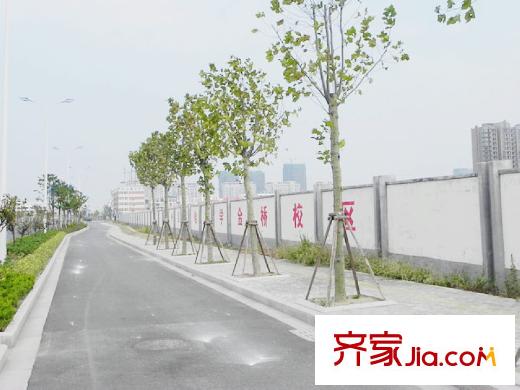 金色城邦項(xiàng)目西300米的金橋小學(xué)