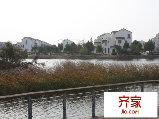 證大滿庭芳小區(qū)實景20131203