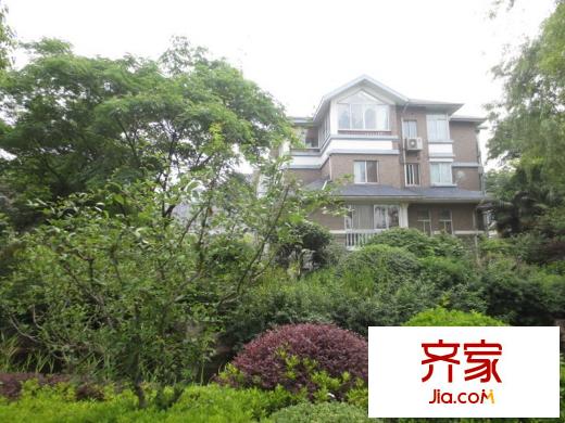 兆豐嘉園外景圖（住宅） 