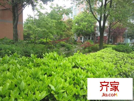 天安花園小區(qū)內(nèi)部實景（20120418）
