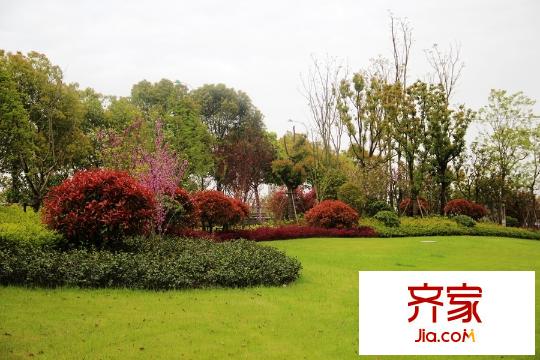 綠地新都會小區(qū)綠化（20150416）