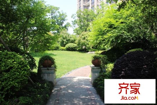 德誠翠湖灣小區(qū)綠化（20150512）