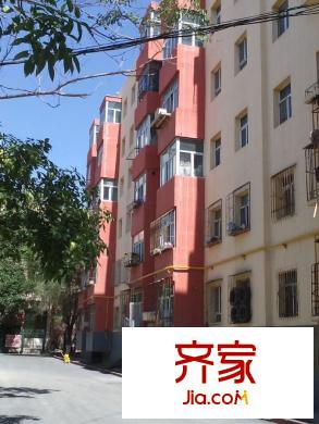 供銷技校家屬院實(shí)景圖小區(qū)實(shí)景