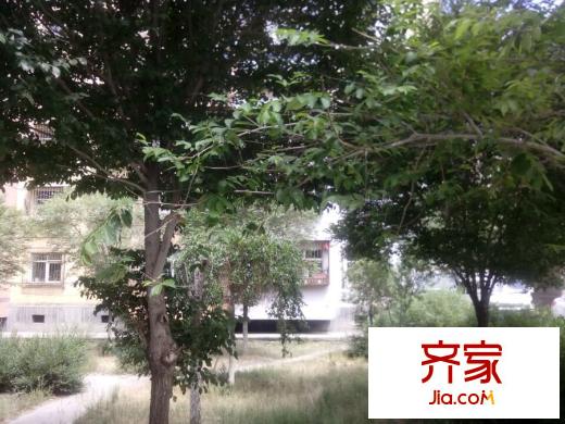 德源峰外景圖小區(qū)實景
