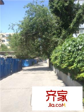 北京路蔬菜公司家屬院外景圖小區(qū)實景
