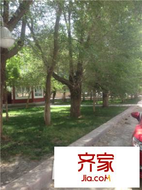社科院家屬院外景圖小區(qū)實(shí)景