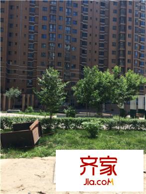新中星花園外景圖小區(qū)實景