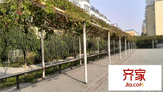 盛世嘉園外景圖IMG_20140923_151539