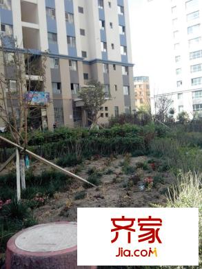 美術(shù)館外景圖小區(qū)照3