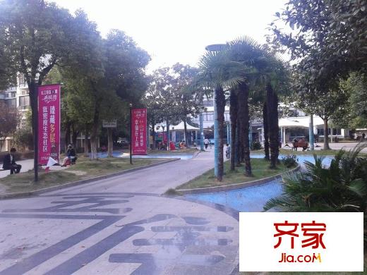 長江綠島外景圖 