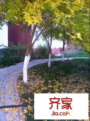 通嘉世紀(jì)城外景圖環(huán)境
