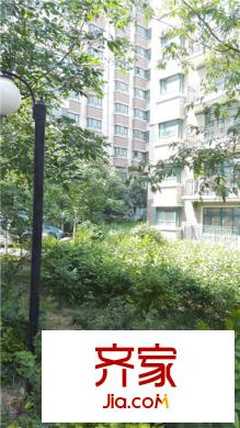 美林閣外景圖小區(qū)實(shí)景
