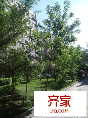 嘉華園外景圖小區(qū)實景