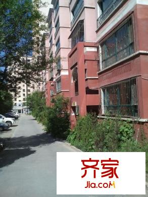 盈科棕櫚園實景圖小區(qū)實景