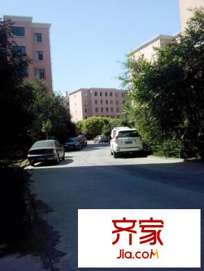盈科棕櫚園外景圖小區(qū)照4