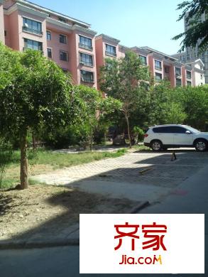 盈科棕櫚園實景圖小區(qū)實景