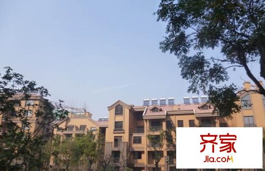 海上印象外景圖 