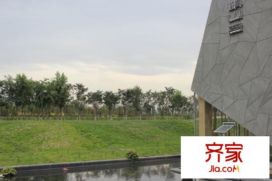 觀山居綠景  2013.8.8