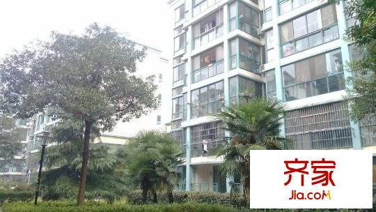 江南春堤一期外景圖江南春堤 