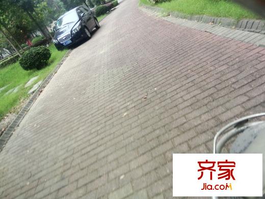 濱江花園外景圖 