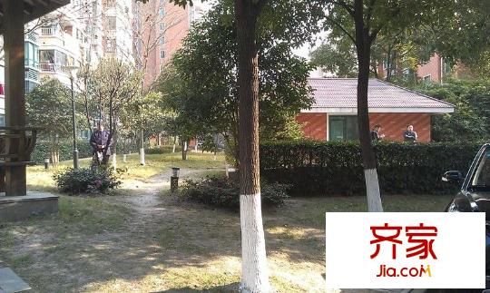 城市之光外景圖 