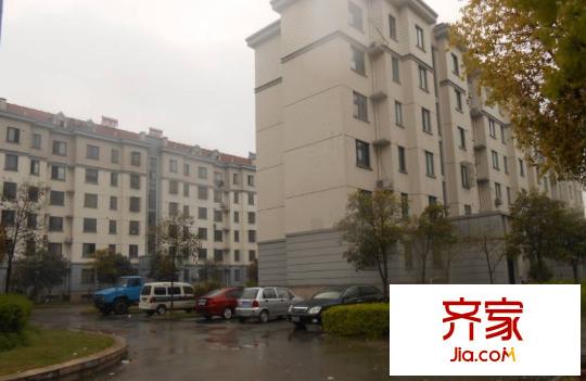 江南春堤牡丹苑外景圖昆山  