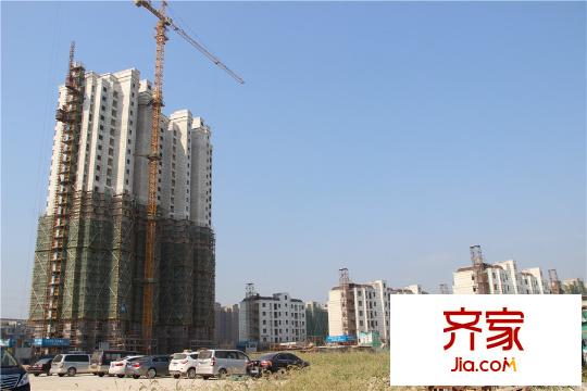 碧悅灣（2015.8.7）