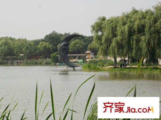 金色森林森林公園