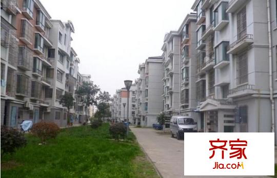 大唐花苑外景圖 