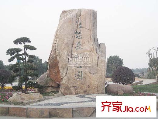 時(shí)代文化家園配套圖森林公園
